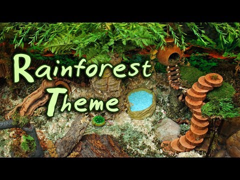 🌿RAINFOREST Hamster Cage Theme! (New DIY Cage)