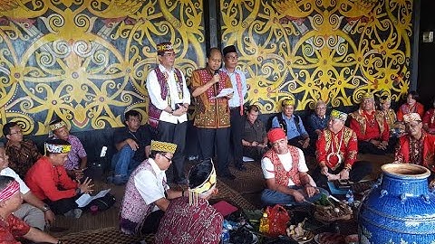 || Orang Dayak Lebih percaya Hukum ADAT Atau Hukum Negara ?