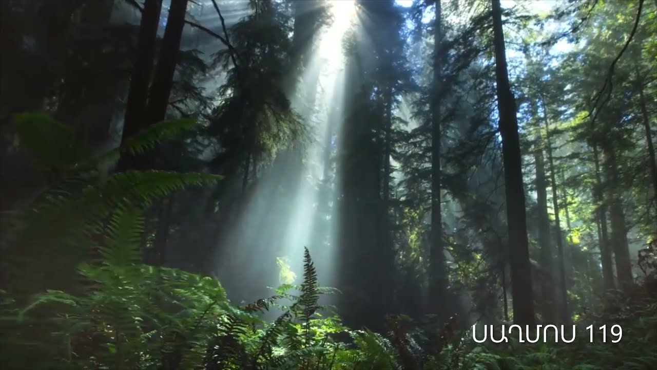 ՍԱՂՄՈՍ 119 Աստծո Օրենքը