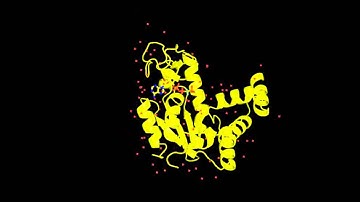 adenylate kinase by Silvie Markova