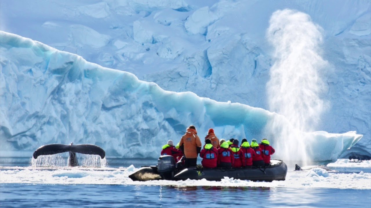 антарктида туризм. антарктида фото туристов. туризм в антарктике.
