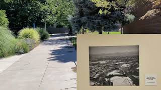 Celebrity UNR's Palmer Engeneering Building Quick History Profile