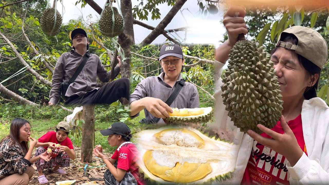 လဲၤအီၣ်တူၣ်ရ့ၣ်သၣ်လၢယကျီး 😋