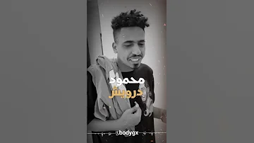 شايل جراح اواب 