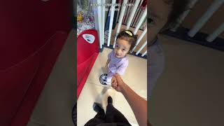 Koko tries slides of all difficulty levels! #funny #slide #toys