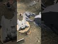 A fun game of Star Wars legion!
