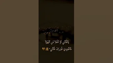 انت اول واخر عشك عاش بنبض دلالي 
