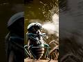 This Tiny Beetle Survived a GIANT Spider With Boiling Chemical Spray | Nature's Most Insane Defense"
