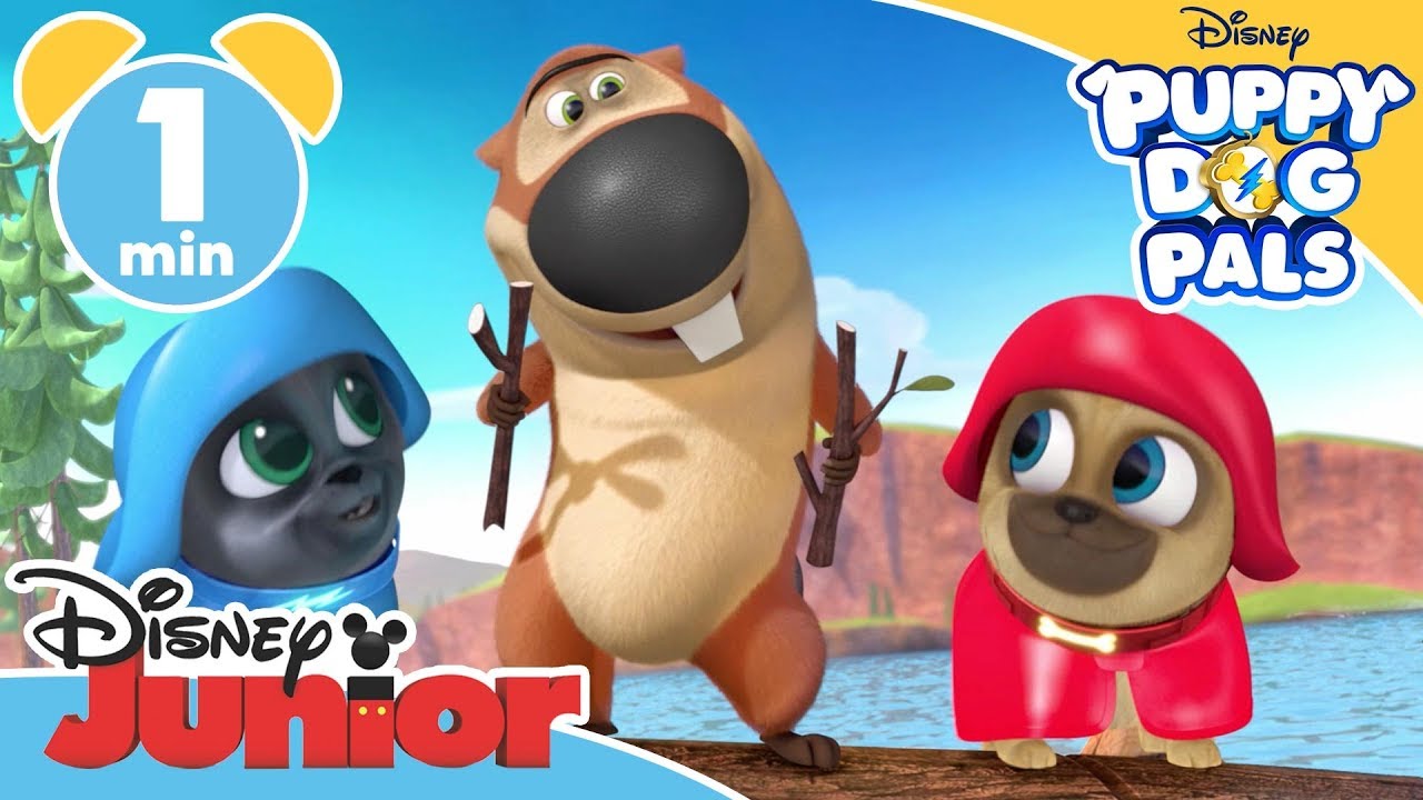 puppy dog pals all characters