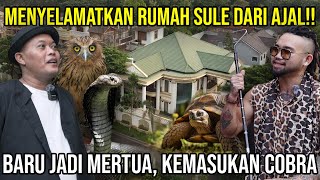 GREBEK RUMAH SULE KEMASUKAN COBRA!! PELIHARAAN SULE DI CEKEK KUNTILANAK!! #AudreyA #KINGOFTHEJUNGLE