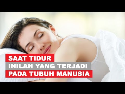 Video: Apa Yang Terjadi Pada Tubuh Manusia Pada Malam Hari? - Pandangan Alternatif