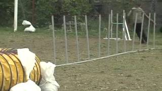 Easter BAT Cup 15.04.2012. - J1L 1 - Ivana i Pipi