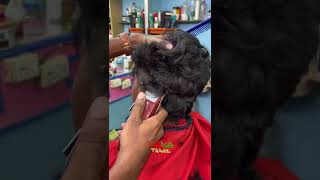 Police Haircut | #youtubeshorts