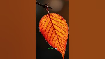 Unlock 2025: Master Adaptation, Let Go, Thrive!