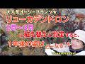 【大人気オージープランツ★リューカデンドロン】2月～3月に植え替えと剪定すると、1年後の姿はどーなる？？？品種ごとに1年の経過をレポート🍃Leucadendron