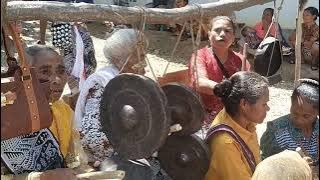 Tarian adat Kab. Timor Tengah Utara
