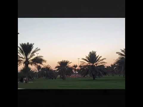 المبزرة الخضراء من بين أحسن الأماكن في العين