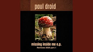 Missing Inside Me (Brivi Remix Edit)
