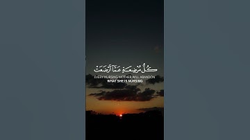 سورة الحج - القارئ ماهر المعيقلي #سورة_الحج #قران #fyp #holyquran