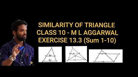 Similarity of Triangles class 10 || icse || M L Aggarwal || Exercise 13.3