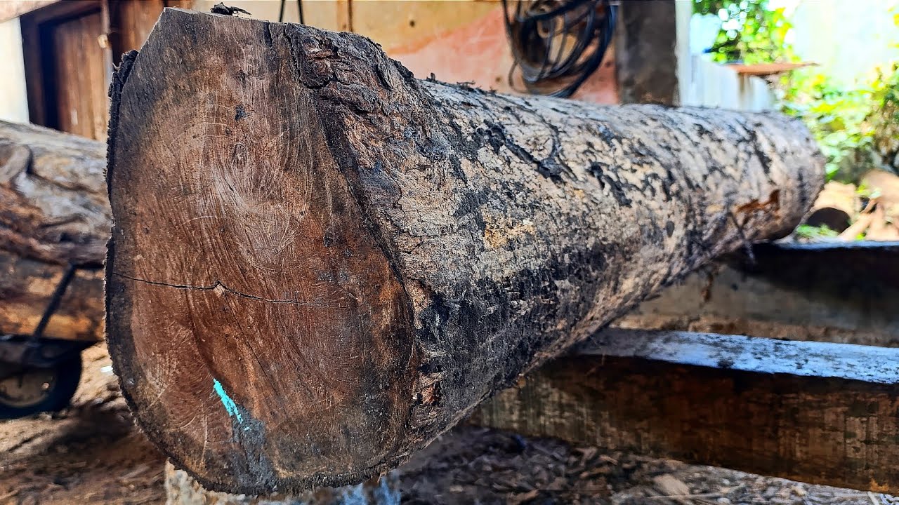 Old age and full of beautiful fibers // teak wood sawing - YouTube