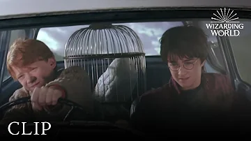 The Flying Ford | Harry Potter and the Chamber of Secrets