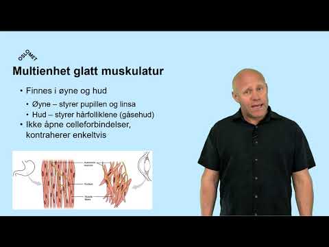 Video: Kollektiv Cellevandring Av Glatt Muskel- Og Endotelceller: Påvirkning Av Skade Versus Stimulus Som Ikke Er Skadet