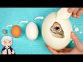 Incubé los Huevos Más Grandes y Más Pequeños del Mundo | ChuyMine REACCIONA a Dr. Plants