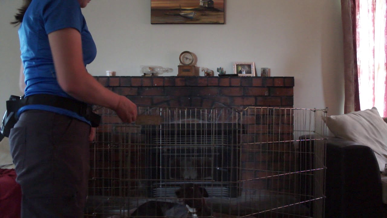 Crate Games Level 2 YouTube