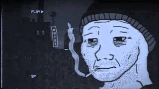 Mr. Kitty - Carnations (Doomerwave)