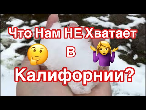 На что мы ДИКИЕ? Завтрак в Ресторане, Подарок на День Рождение СВОИМИ Руками #viral #viralvideo