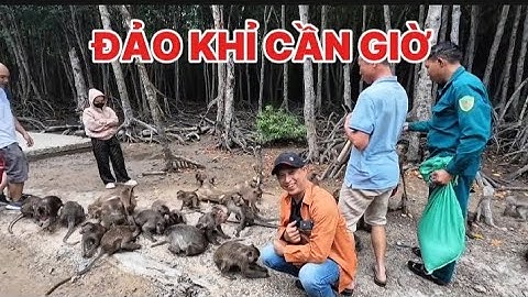 ĐẢO KHỈ - KHU BẢO TỒN HOANG DÃ RỪNG SÁC CẦN GIỜ 