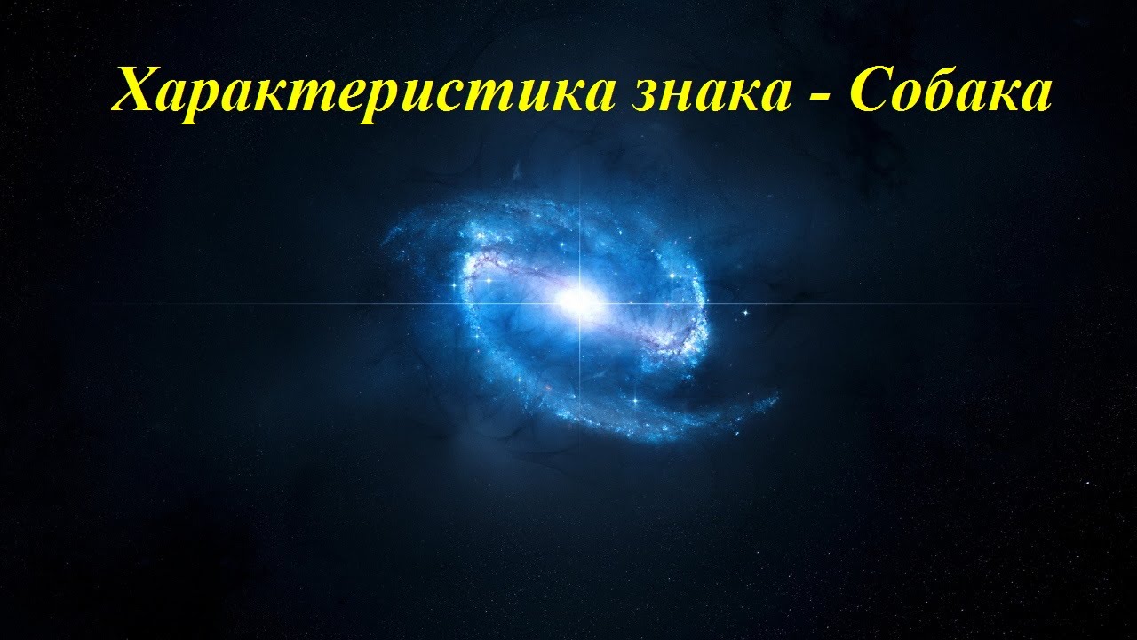 Характеристика знака - Собака