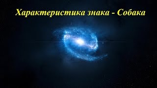 видео Характеристика года Собаки для всех знаков Зодиака