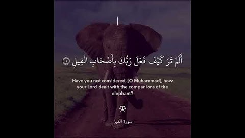 ياسر الدوسري سورة الفيل