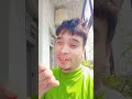 dugo rakhle bani