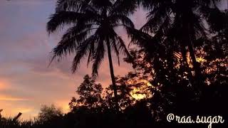 Puisi Senja - Penantian - Pasti dan Tak Pasti - Story Whatsapp (WA) #senja #puisisenja #storywa