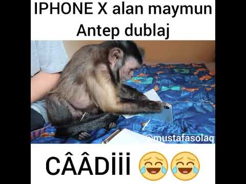 IPHONE X Alan Maymun (Antep Dublaj ) Monkey boo