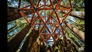 O2 Treehouse Tetratruss Treedeck Install