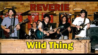 Video thumbnail of "Reverie - Wild Thing (The Troggs)"