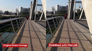 Extreme Shaky Footage Stabilization with Prodad Mercalli screenshot 5