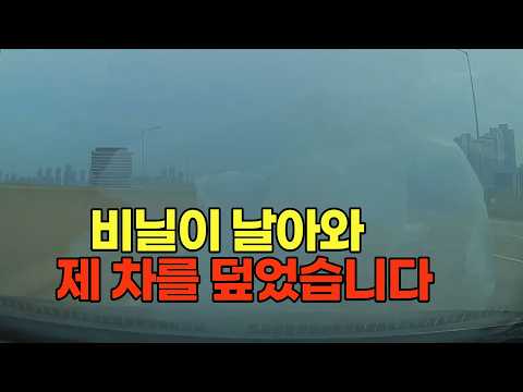 <strong>고속도로에서</strong> 화물차를 덮고 있던 비닐이 날려 제 차를 덮어버렸습니다