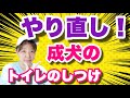 成犬のトイレトレーニング　未完了・お散歩でしかしなくなった・崩れてきた・・こんなお悩みありませんか？