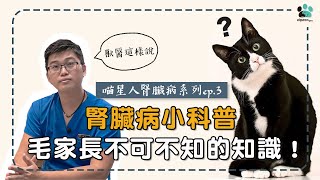 【獸醫這樣說🧐喵星人腎臟病系列ep.3】貓咪腎臟病小科普！毛家長不可不知的知識！│愛寶寵新知 AIPAWs X 保健知識家