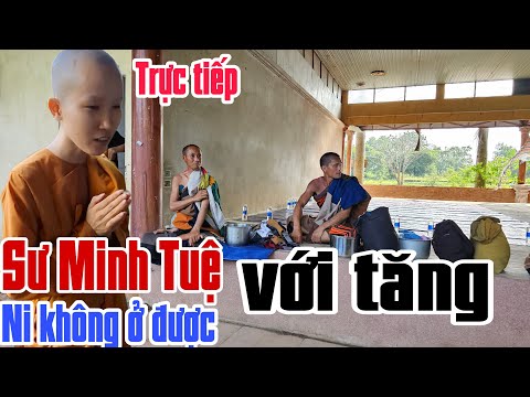 Trực tiếp Sư Minh tuệ mới nhất