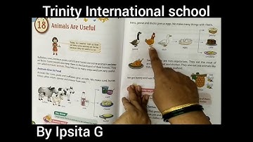 Class-2, EVS chapter 18: Animals are useful