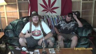 THC episode-182.5 the rest of the day that was unreal