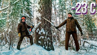 Мощная БЕНЗОПИЛА или Огромная ПИЛА-КАТАНА? В ТАЙГУ В МОРОЗ - ЗАГОТАВЛИВАЕМ ДРОВА, ТОПИМ ПЕЧЬ