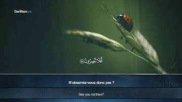 Sourate Az-Zukhruf - Arif AbdAllah Ashi سورة الزخرف عارف العشي