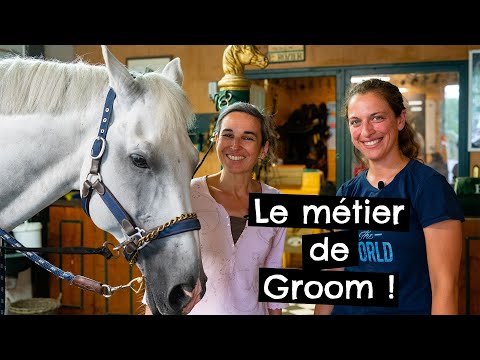 Vidéo: Qu'est-ce que le travail de groom?